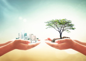 shutterstock_323393219